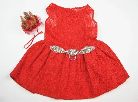 Quinceanera Dog Dress | The Avis